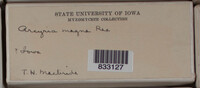 Image Associated With the Occurence